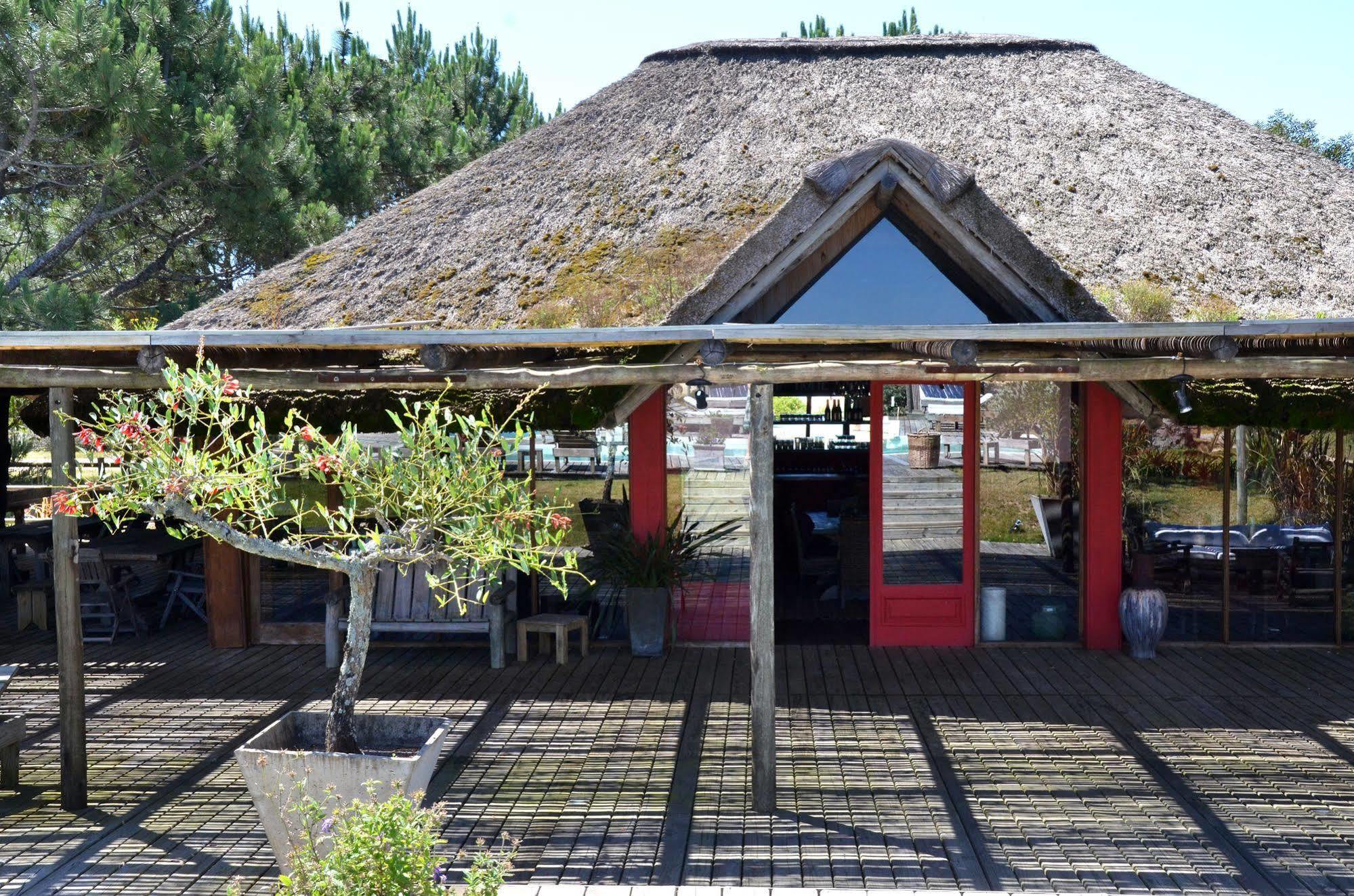 Casa Suaya Hotel Jose Ignacio  Exterior photo