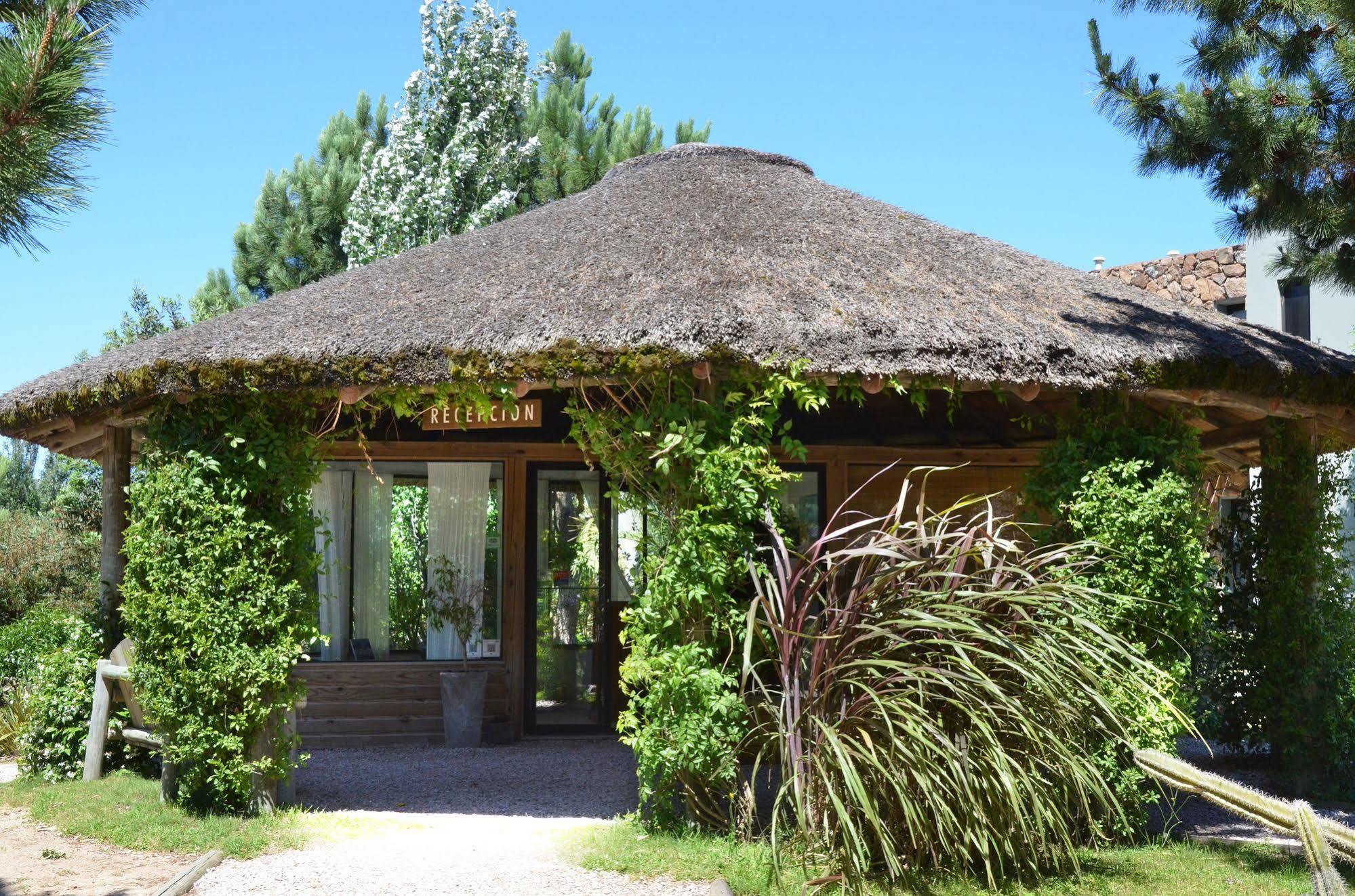 Casa Suaya Hotel Jose Ignacio  Exterior photo