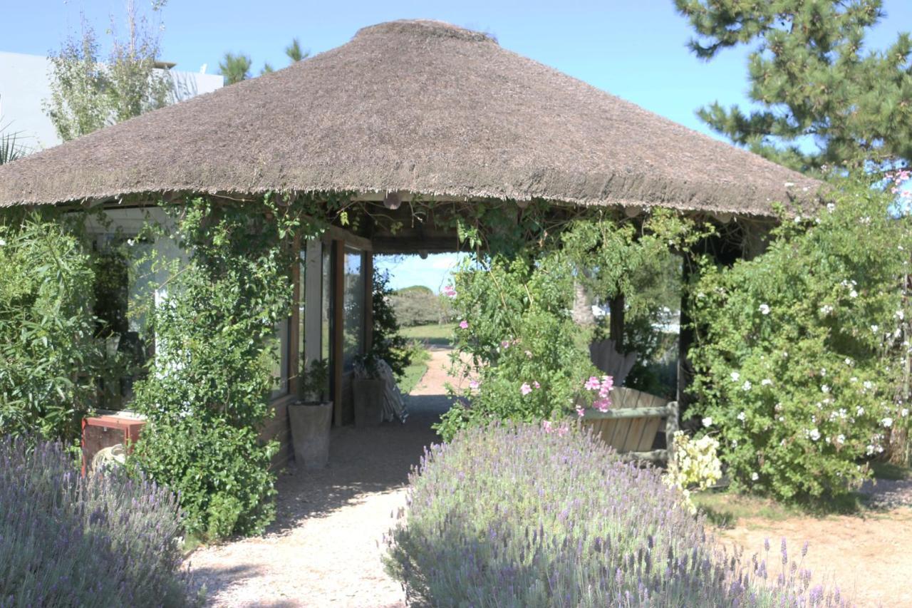 Casa Suaya Hotel Jose Ignacio  Exterior photo